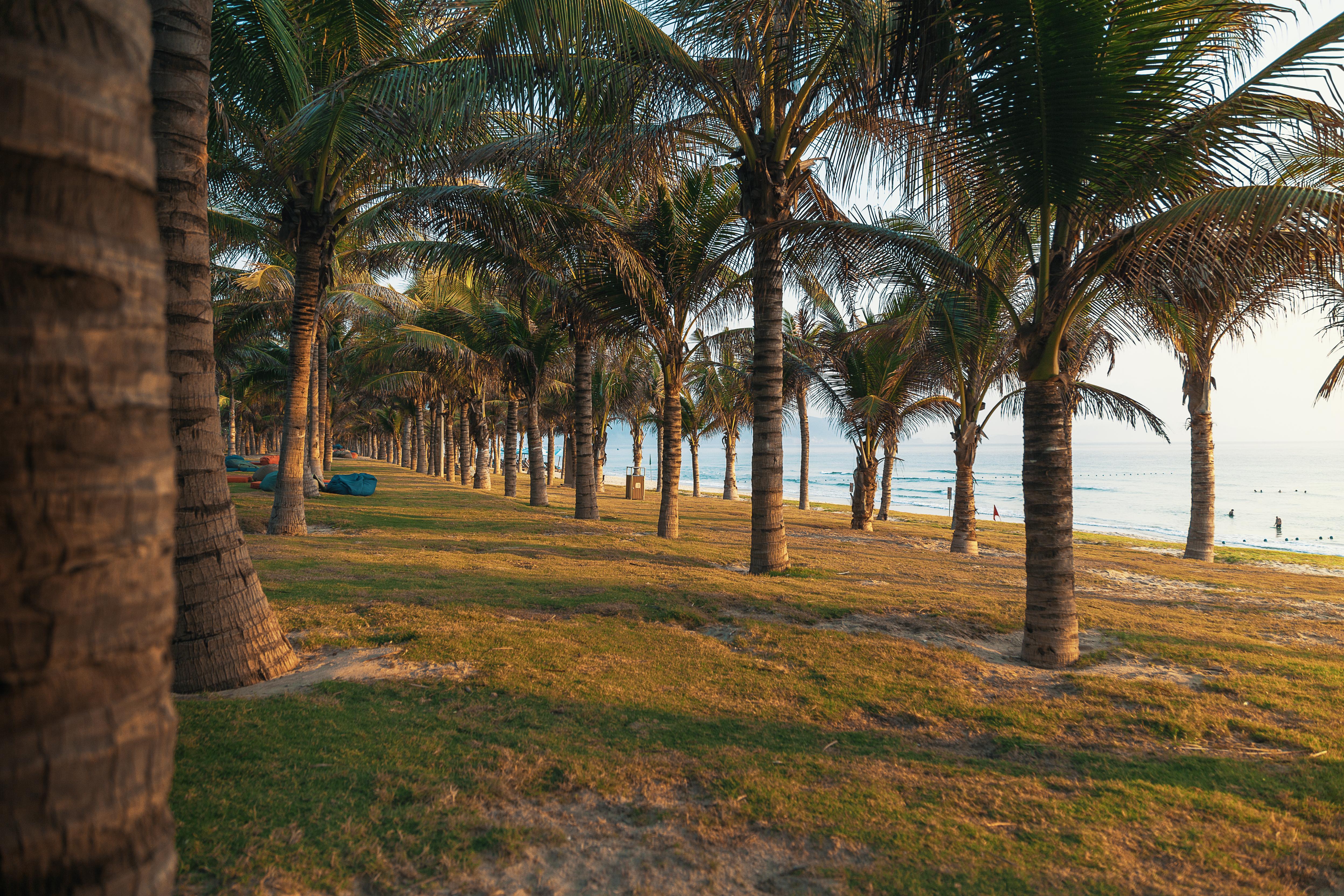 Duyen Ha Resort Cam Ranh Dış mekan fotoğraf